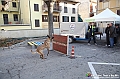 VBS_5377 - In ricordo dell'alluvione del 1994 nel trentennale